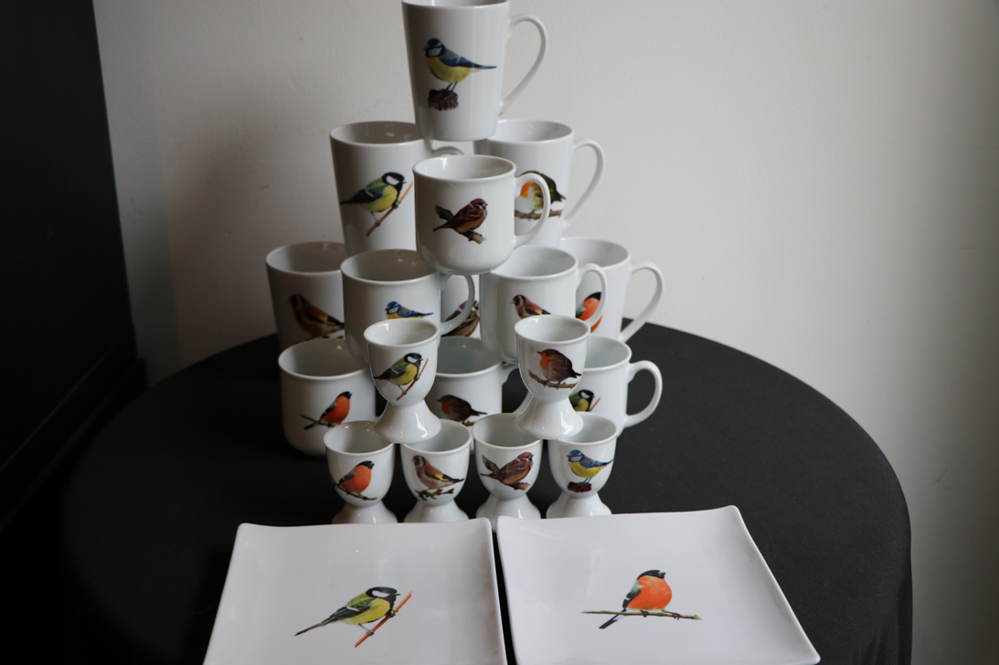 THEME OISEAUX