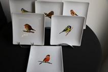 REF 8441 ASSIETTE CARRE OISEAUX